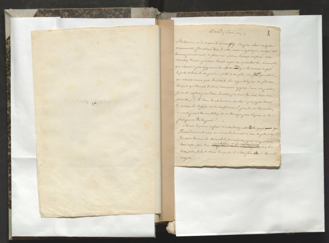 Notices biographiques et archives originales rassemblées par François Grille sur ses contemporains. 2e dossier : Notes et particularités sur la vie et les ouvrages de Pierre Jean David, statuaire, membre de l'Institut