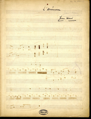 Symphonies florales. Anémone. Chèvrefeuille.