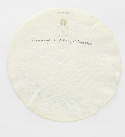 Hommage à D'Arcy Thompson