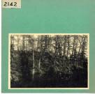 Pontigné : Pierres, menhirs ou dolmens