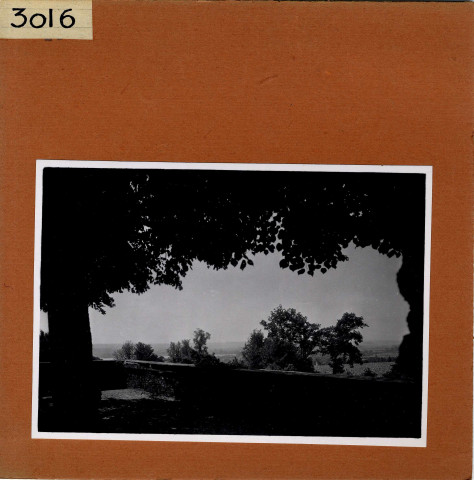 Savennières : Vallée près de La Roche aux Moines