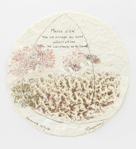 Hommage à D'Arcy Thompson