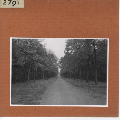 Saint-Barthélémy d'Anjou : Château de Pignerolles