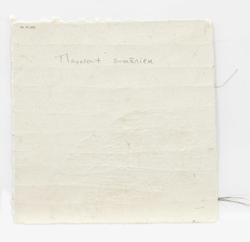 Le manuscrit sumérien