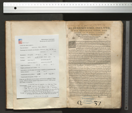 Pedacio Dioscorides, de la materia medicinal. Traduzido de griega in la volgar castillana, por el Andrez de Laguna