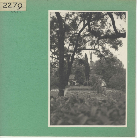Rochefort-sur-Loire : Ruines de Saint Offange