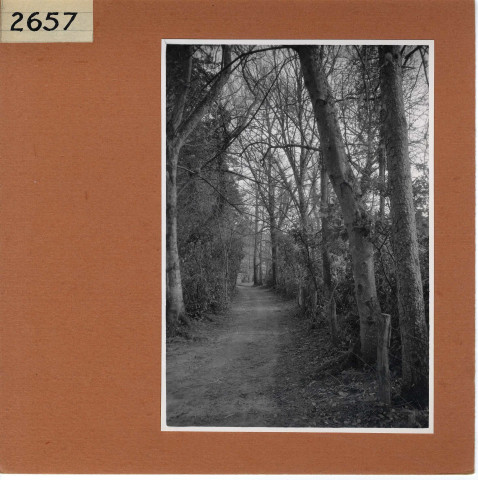 Bouzillé : Château de la Bourgonnière