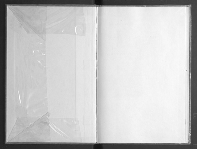 Notes complémentaires sur les artistes angevins