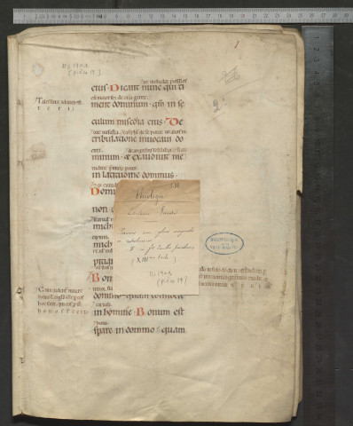 Fragment des Psaumes, avec gloses marginales et intralinéaires (XIIIe siècle)