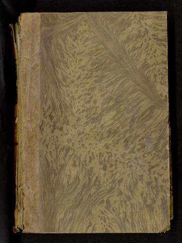 Sermones quadragesimales de peccatis / [par Roberto Caracciolo]