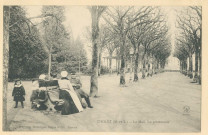 ML 190. Cholet (M-et-L). Le Mail. La Promenade