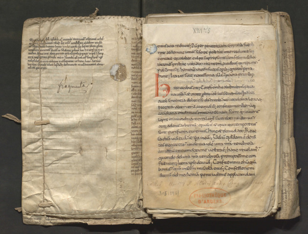 Recueil de plusieurs textes et fragments