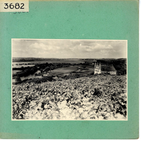 Ardenay-sur-Merize : Chapelle d'Ardenay et vignoble