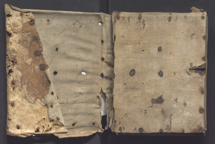 De Genesi ad litteram libri XII. « Omnis creatura bipertita est... »