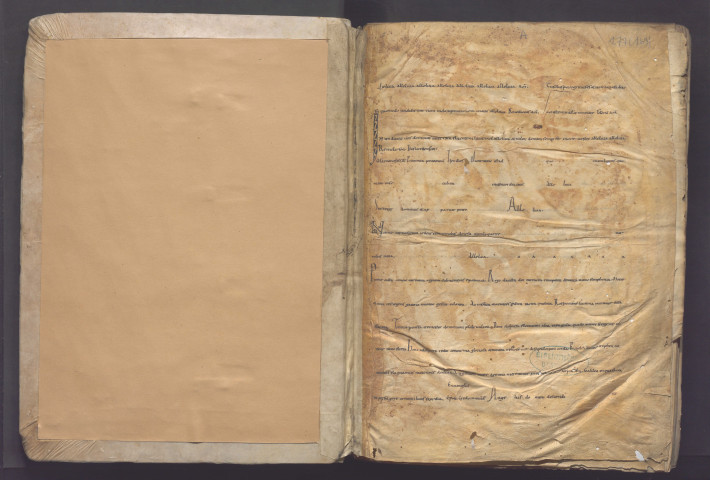 « Aurelii Augustini in Johannem euvangelistam commentarium incipit »