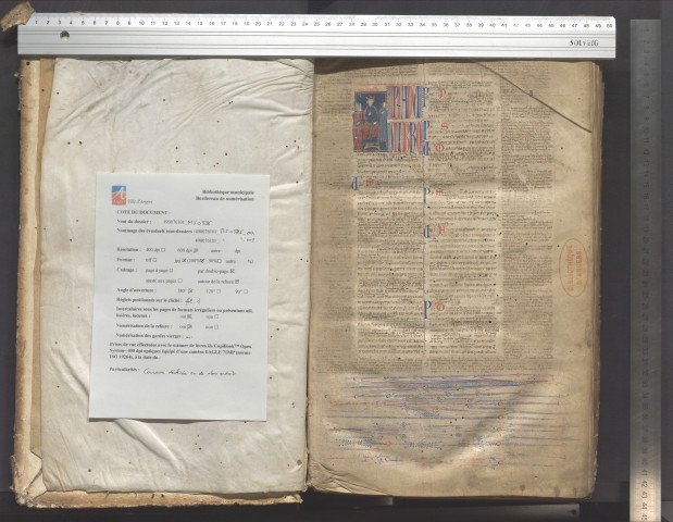 Justinien. Digestum infortiatum, Apparatus.