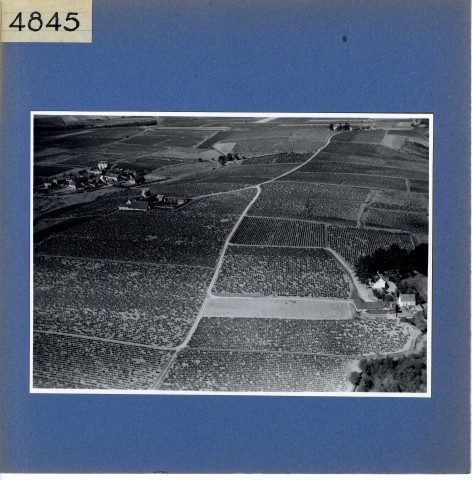 Rochefort-sur-Loire : Chaume (vue aérienne)