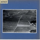 Rochefort-sur-Loire : Chaume (vue aérienne)