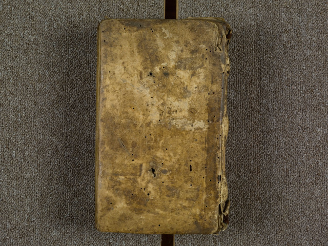 « Sentencie excepte, de Moralibus Job, bone et utiles. Divinus sermo, sicut misteriis prudentes exercet... »