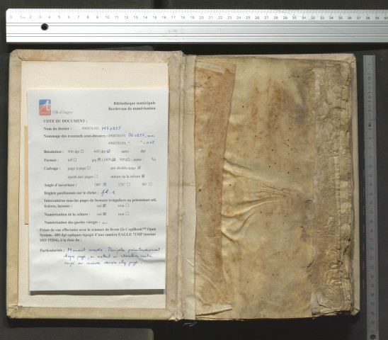 Guillaume Péraud. Summa de vitiis