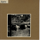 Angers : Cathédrale Saint-Maurice, détail du bénitier