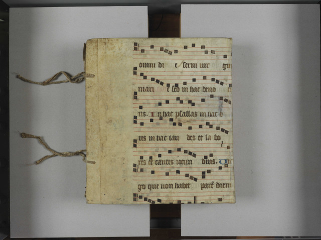 Comptes des cens et rentes de l'église collégiale de Saint-Martin d'Angers : vol. II.