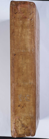 Bible latine, en deux volumes. [Volume 2]