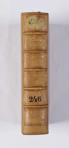 Thèmes de sermons. « Mulier gratiosa inveniet gloriam. Proverb. XI. Mulier ista fidelis est anima, que nunc... »
