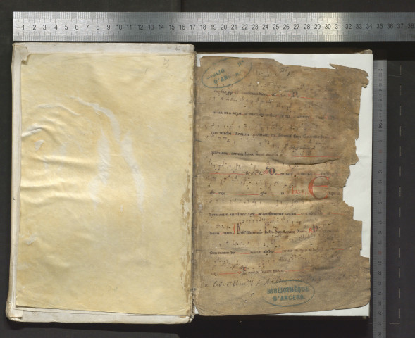 Graduel noté en neumes