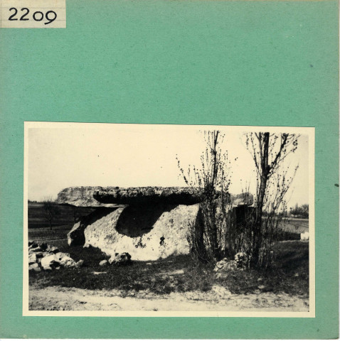 Gennes : Dolmen de la Forêt