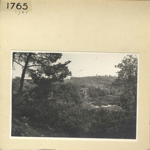 Angers : Parc de La Haye, étang Saint-Nicolas