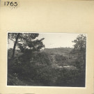 Angers : Parc de La Haye, étang Saint-Nicolas