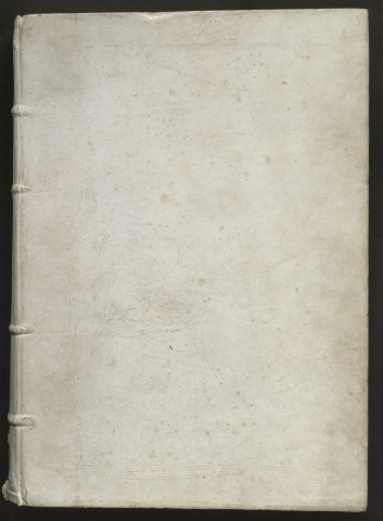 « Incipit praefatio Cassiodori Senatoris, servi Dei. Utiliter nimis in capite libri prefatio ponitur... » suivi de « Incipiunt tituli ecclesiastice hystoriae cum opere suo ab Epyphanio scolastico, Domino praestante, translati... Explicit liber duodecimus historiae ecclesiasticae. Deo gratias. »