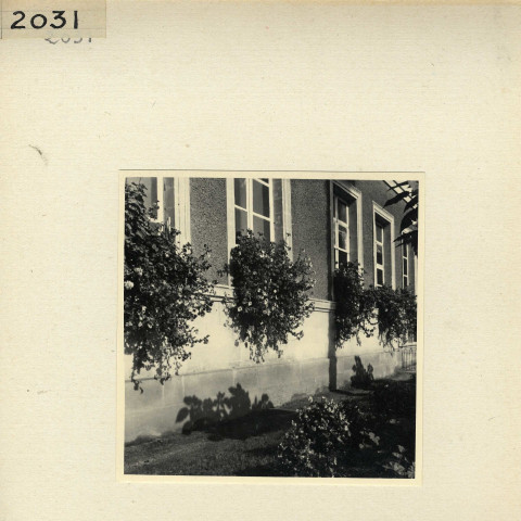 Angers : mairie d'Angers (cour, jardin)