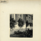 Angers : mairie d'Angers (cour, jardin)