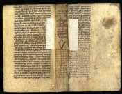 Expositio super librum prophetae Isaiae