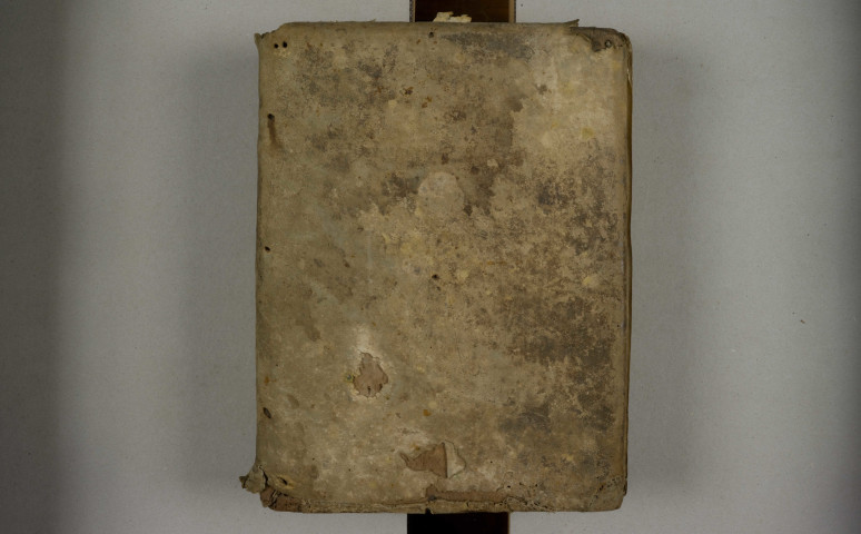 Expositio in Evangelia et Epistolas