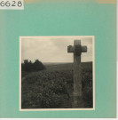 Saint-Aubin-de-Luigné : Vignoble angevin