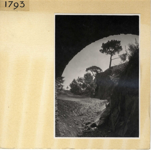 Angers : Parc de la Garenne