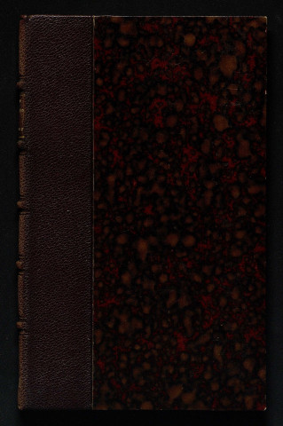 Carnet de notes [Bruel 12]