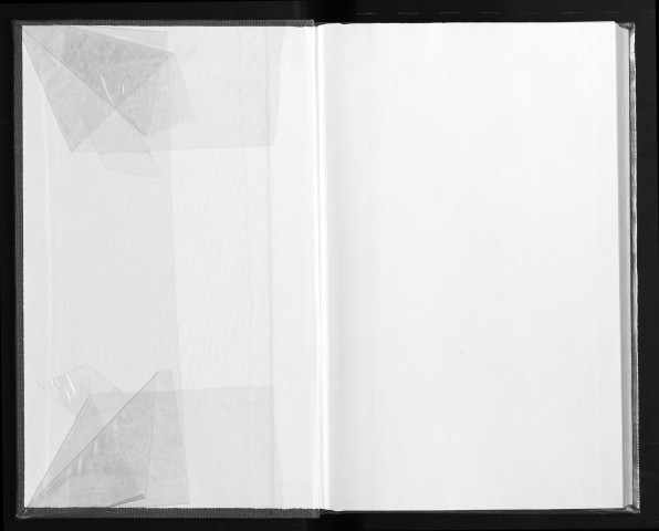 Extraits des comptes et mémoriaux du roi René pour servir à l'histoire des arts au XVe siècle