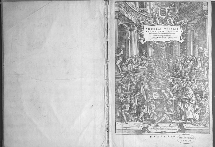 Andreae Vesalii Bruxellensis, de humani corporis fabrica libri septem