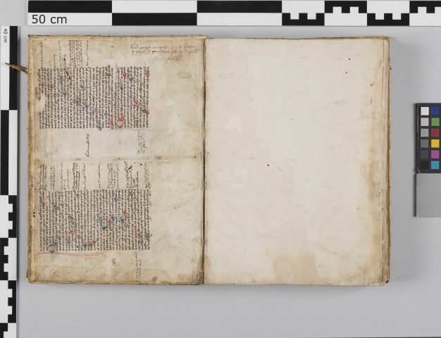 « Gesta et miracula reverendissimi Joannis Michaelis, Andegavorum episcopi. Primo de quodam sacerdote hernioso. Territorio Andegavensi, vico Bellipratelli... »