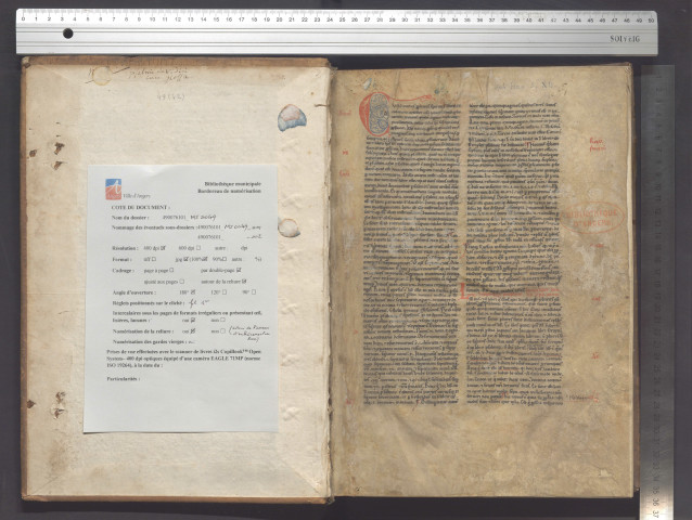 Commentaire sur les psaumes (jusqu'au psaume LXXXIII). Derniers mots commentés : « Deus gratiam et gloriam dabit... » (Ps. LXXXIII, 12)