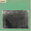 Anjou : L'Evre, à Courossé