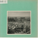 Anjou : Vignoble angevin