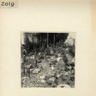 Angers : Jardin des Plantes (plantes grasses)