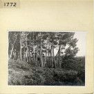 Angers : Parc de La Haye