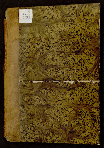 Carmen elegum fratris Symonis Nauquier