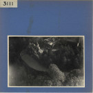 Chênehutte-les-Tuffeaux : Château du Prieuré, vue aérienne